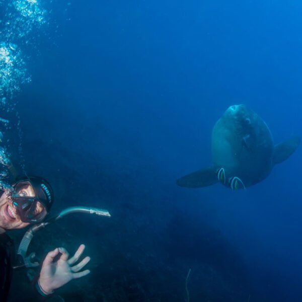 Underwater Photo Bali
