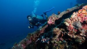 Exploring the Underwater Wonders of Tulamben