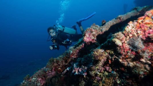 Explorer les merveilles sous-marines de Tulamben